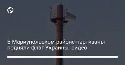 В Мариупольском районе партизаны подняли флаг Украины: видео