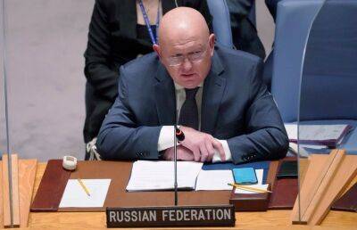 Посла России вызвали в МИД Чехии из-за слов Небензи в СБ ООН