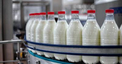 Белорусская молочная продукция востребована на рынках КНР