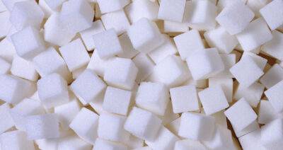 Первые сессионные торги сахаром на экспорт прошли на БУТБ