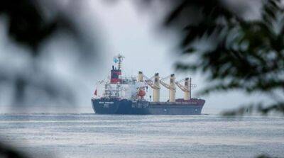 Еще три судна с зерном вышли из портов в Украине