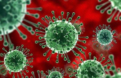 В Тверской области за сутки выявлено 298 зараженных коронавирусом