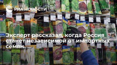 Академик РАН Карлов: Россия за пять лет может стать независимой от импортных семян
