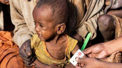 На грани голода в мире находится 828 миллионов человек — доклад ВПП