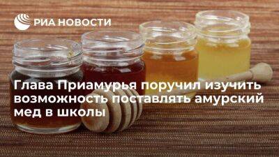Глава Приамурья Орлов поручил изучить возможность поставлять амурский мед в школы