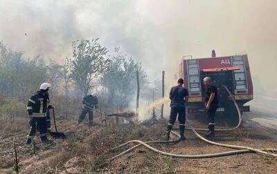 На Николаевщине горит Андреевское урочище