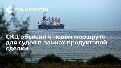 СКЦ объявил о новом маршруте для судов, выходящих из Одессы, Черноморска и Южного