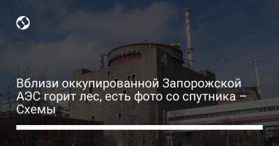 Вблизи оккупированной Запорожской АЭС горит лес, есть фото со спутника – Схемы