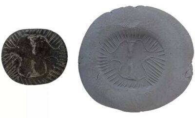 Археологи виявили в кургані Домузтепе рідкісну печатку епохи пізнього недоліта (Фото)