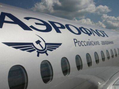 Пассажирка «Аэрофлота» обвинила компанию в избиении и воровстве