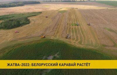 Белорусские аграрии близки к планке 7,5 миллионов тонн зерновых
