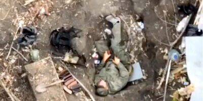 Кошмар наяву. Украинские военные сбросили фугас на спящего оккупанта — видео