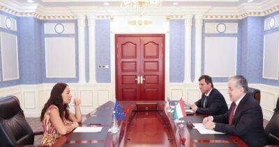 Сироджиддин Мухриддин - Глава МИД Таджикистана принял Главу Представительства Европейского Союза - dialog.tj - Таджикистан