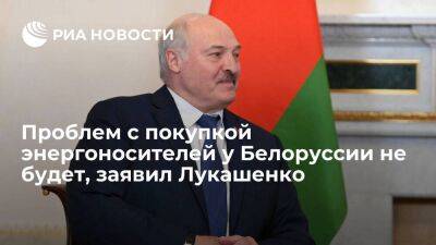 Лукашенко: у Белоруссии не предвидится проблем с финансами для закупки энергоносителей
