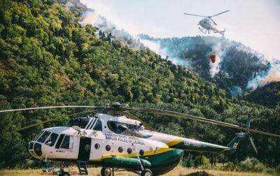 В Грузии семь дней тушат масштабный лесной пожар