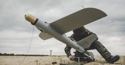 Литва закупит для ВСУ 37 дронов-камикадзе Warmate: потратят 1 миллион евро