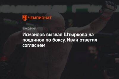 Исмаилов вызвал Штыркова на поединок по боксу. Иван ответил согласием