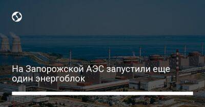 На Запорожской АЭС запустили еще один энергоблок
