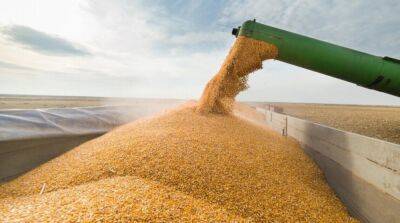 Украина за месяц экспортировала уже миллион тонн зерна – Зеленский