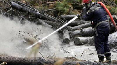 Полиция Франции подозревает пожарных-добровольцев в поджогах лесов