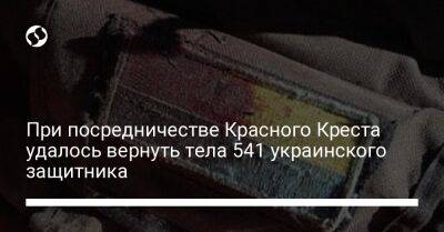 При посредничестве Красного Креста удалось вернуть тела 541 украинского защитника