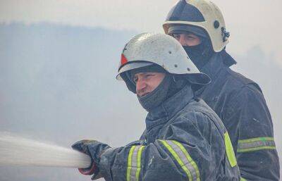 В Тверской области ликвидируют лесной пожар под Фирово