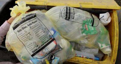 Почему нельзя выкидывать мусор на ночь в Германии: 4 весомых причины