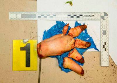 Полиция Праги нашла отправителя отрубленной «человеческой» руки