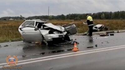 В ДТП с участием микроавтобуса в Красноярском крае погиб ребенок, пострадали восемь человек