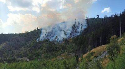 На Франковщине спасатели второй день тушат масштабный лесной пожар