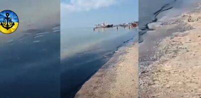 В окупованому Бердянську стався витік мазуту: море почорніло