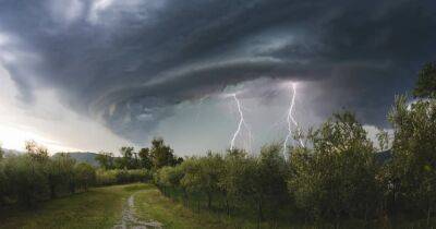 Погода в Украине на 29 августа: На западе дождь с грозой (КАРТА)