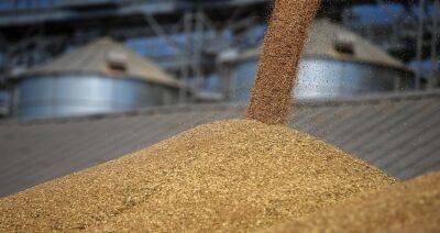 Россия готова предоставить Беларуси 1 млн т зерна