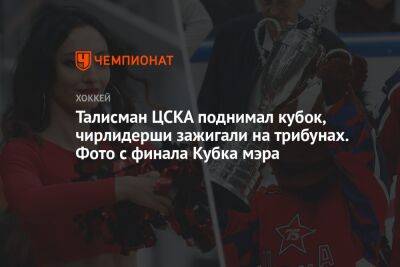 Талисман ЦСКА поднимал кубок, чирлидерши зажигали на трибунах. Фото с финала Кубка мэра