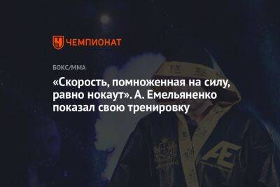 «Скорость, помноженная на силу, равно нокаут». А. Емельяненко показал свою тренировку