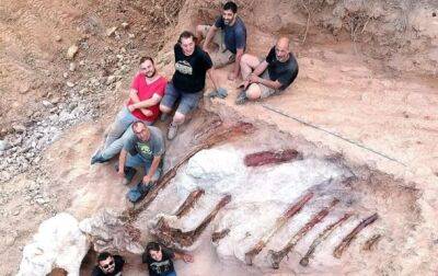 Житель Португалии нашел во дворе останки огромного динозавра