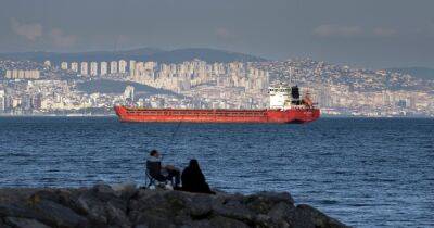 Турция в 5 раз повысит стоимость прохода кораблей через проливы Босфор и Дарданеллы