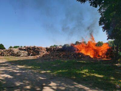 В Лидском районе на открытой местности загорелась древесина