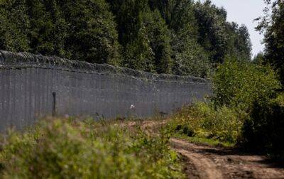 На границе с Беларусью Литва достроила забор протяженностью около 502 км