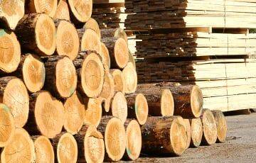 Белорусов хотят обязать отчитываться об использовании купленной для строительства древесины