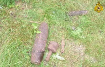 В деревне в Тверской области нашли артиллерийский снаряд, мину и ручную гранату