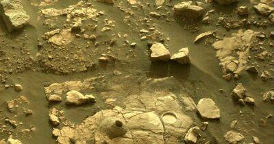 Марсоход Perseverance обнаружил возможный "ключ" к разгадке тайны жизни на Марсе