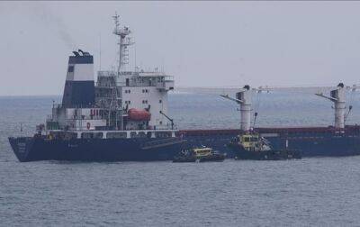 В Турции проходит проверку корабль с зерном из Украины