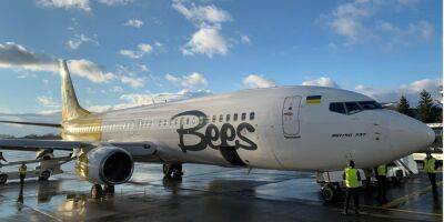 Украинская авиакомпания Bees Airline осталась без самолетов и сертификата эксплуатанта