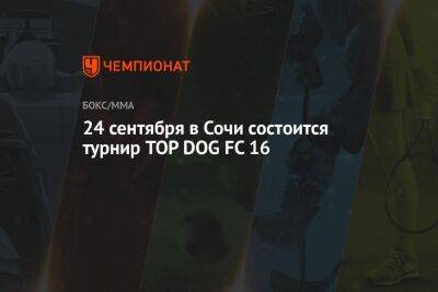 24 сентября в Сочи состоится турнир TOP DOG FC 16