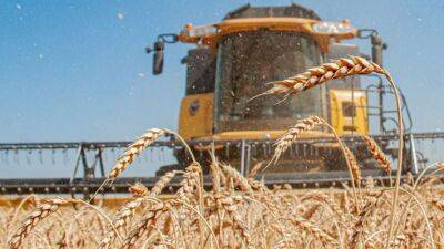 Не хлібом єдиним: що дасть «зернова» угода Україні