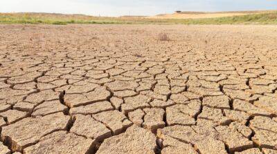 Молдова вводит режим ЧС из-за засухи