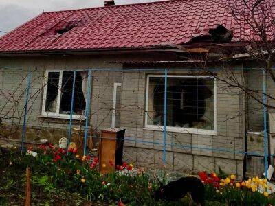 В результате обстрела оккупантами Криворожского района погибла 70-летняя женщина – глава Днепропетровской ОВА