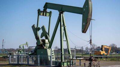 Страны ОПЕК+ увеличат добычу нефти на 100 тыс. баррелей в сутки