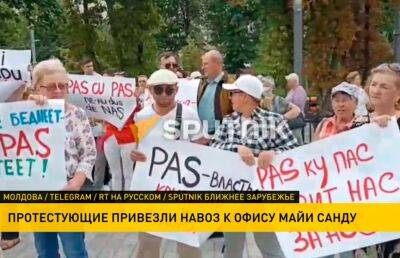 Жители Молдовы предложили Майе Санду отапливать здание администрации и парламента навозом
